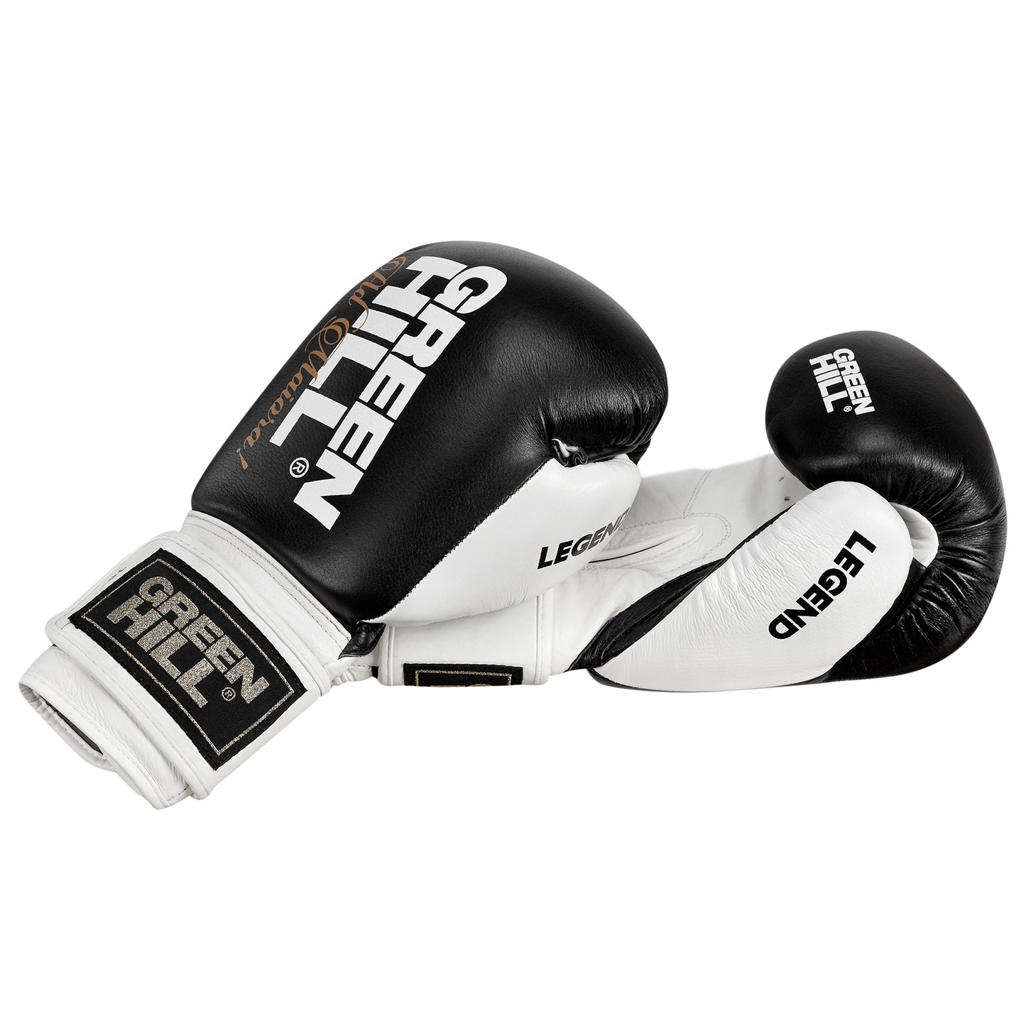 LEGEND Boxing Gloves