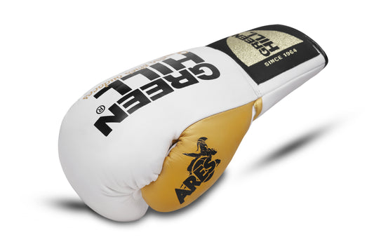 ARES Professional Boxing Gloves