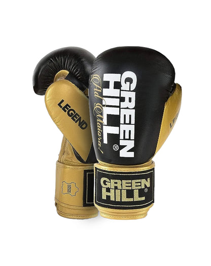 LEGEND Boxing Gloves
