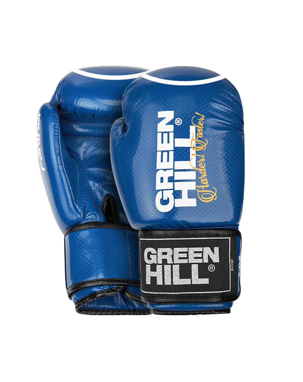 PANTHER CIRCLE Boxing Gloves