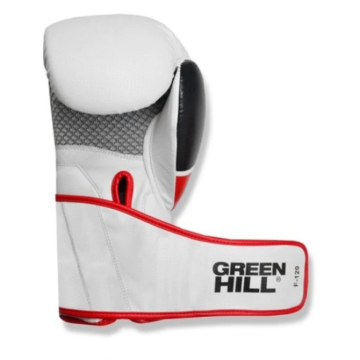 Boxing Gloves F-120