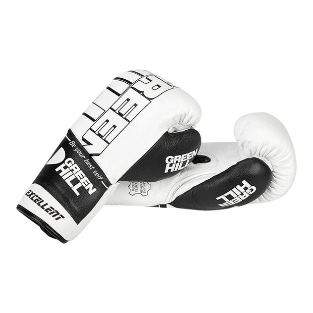 Boxing Gloves EXCELLENT