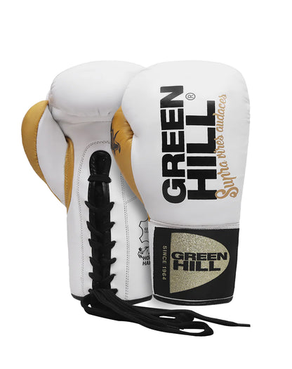 ARES Professional Boxing Gloves