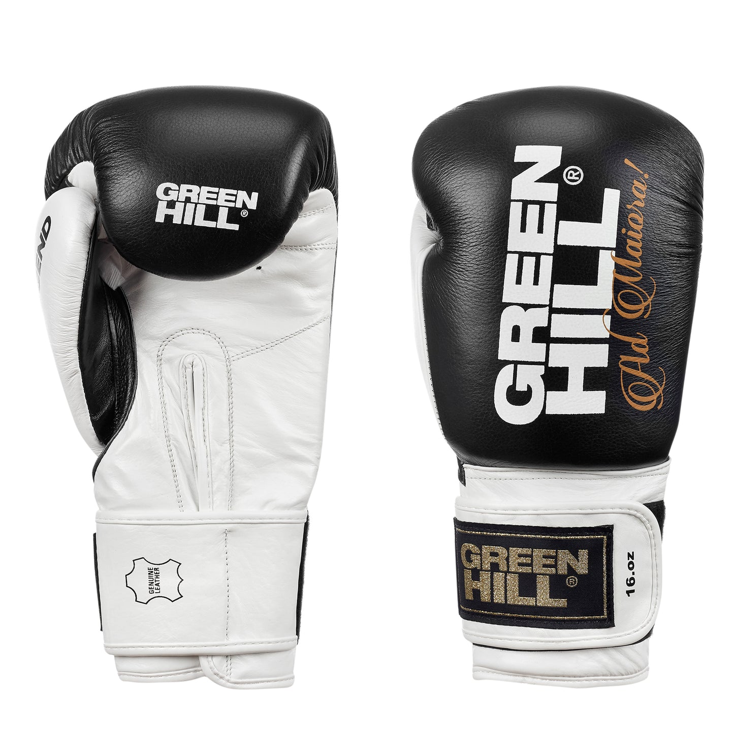 LEGEND Boxing Gloves