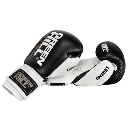 LEGEND Boxing Gloves