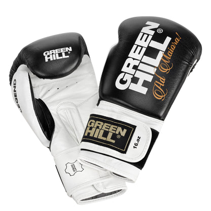 LEGEND Boxing Gloves