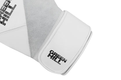 AURORA Boxing Gloves