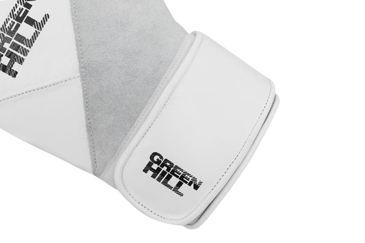 AURORA Boxing Gloves