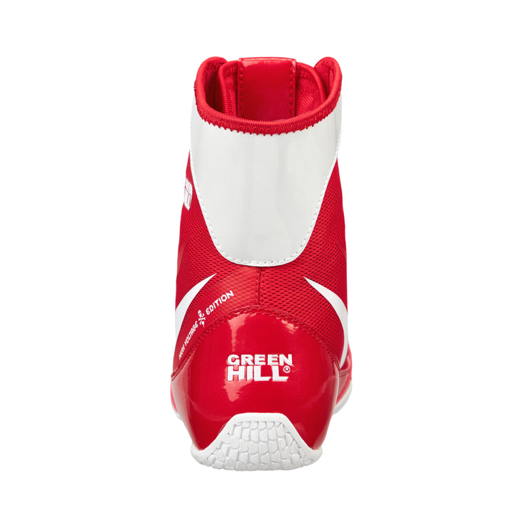 Boxing Gloves PUNCH II + Shorts FIGHTER + Shoes STORM