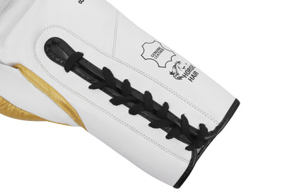 ARES Professional Boxing Gloves