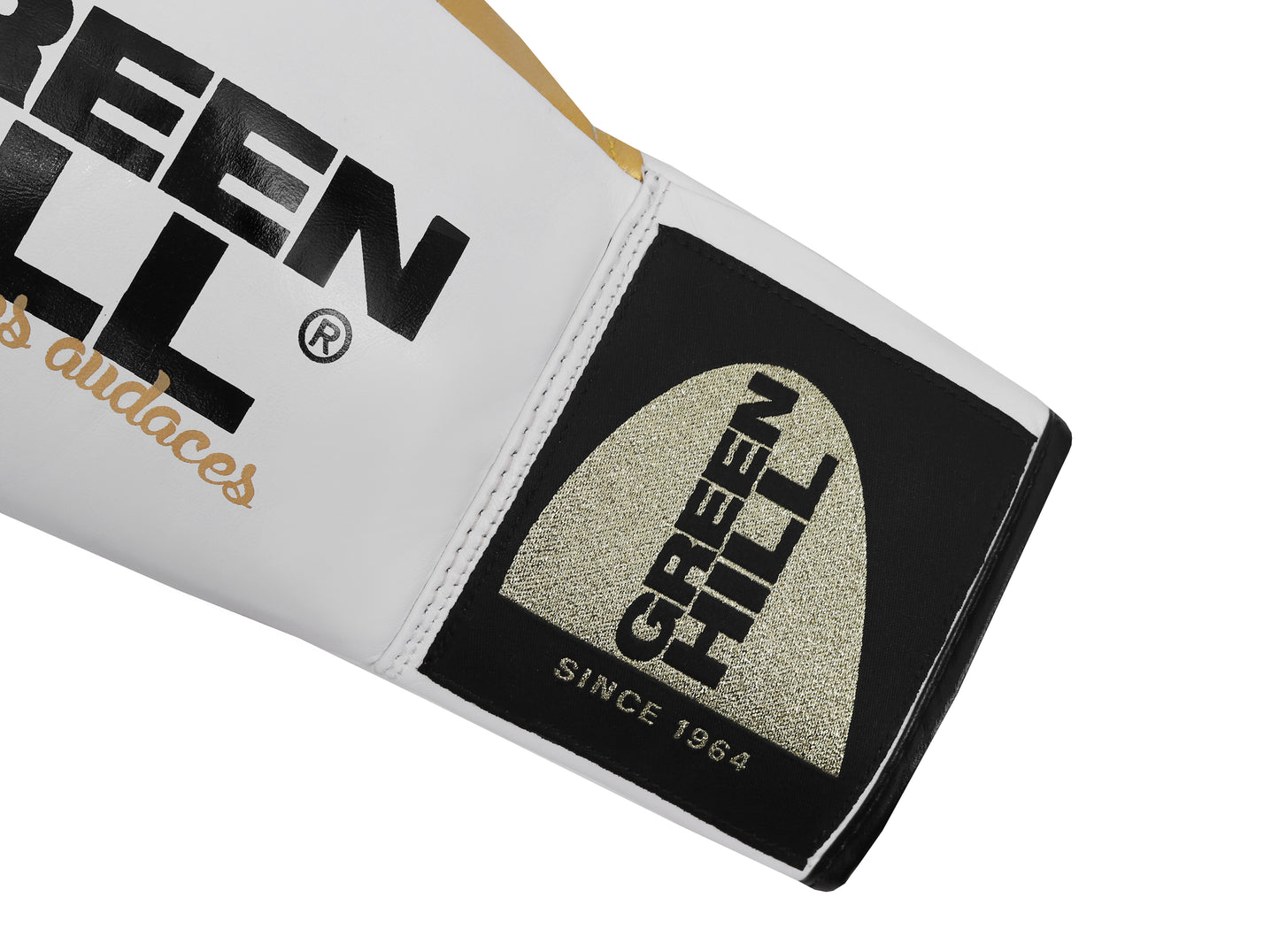 ARES Professional Boxing Gloves