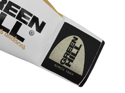 ARES Professional Boxing Gloves