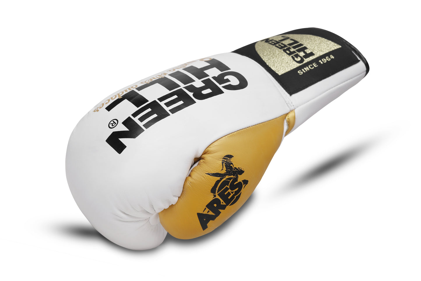 ARES Professional Boxing Gloves