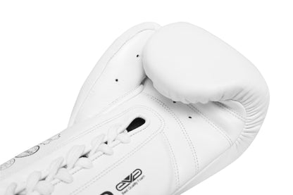 DRAGON FORCE Boxing Gloves