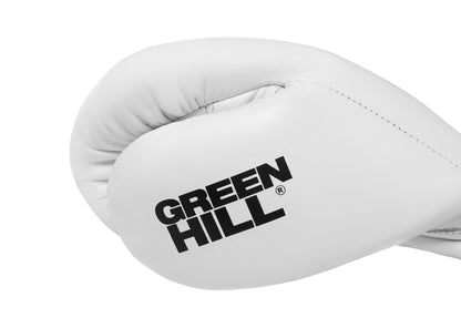 DRAGON FORCE Boxing Gloves