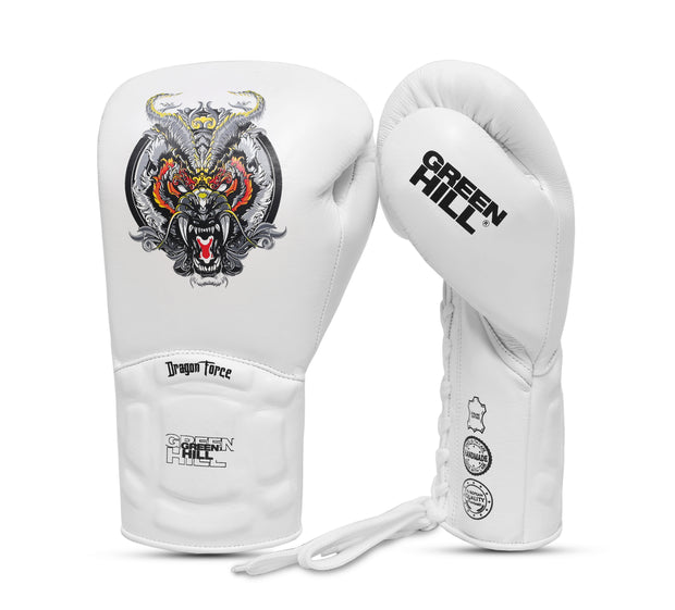 Boxing Gloves DRAGON FORCE