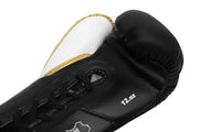 Boxing Gloves ARES  Professional Horsehair padding Calf Leather