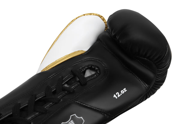 Boxing Gloves ARES  Professional Horsehair padding Calf Leather