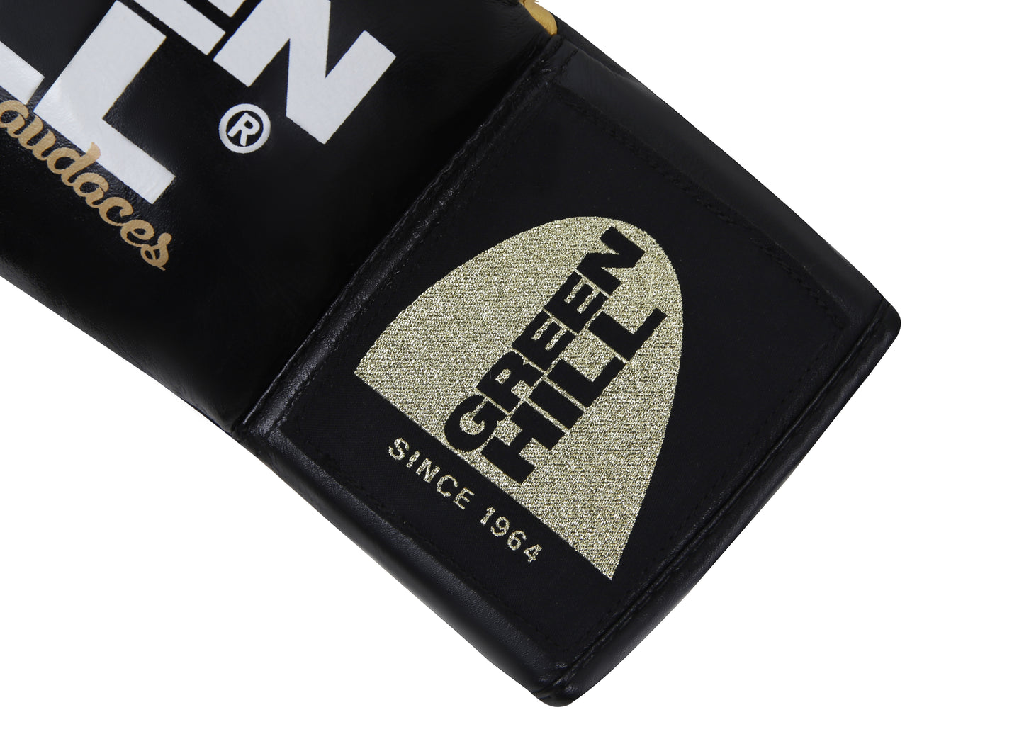 ARES Professional Boxing Gloves