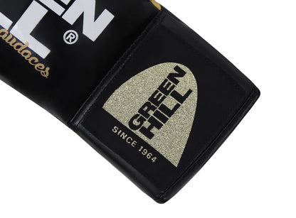 ARES Professional Boxing Gloves