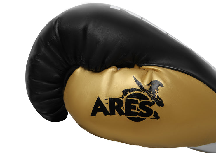 Boxing Gloves ARES  Professional Horsehair padding Calf Leather