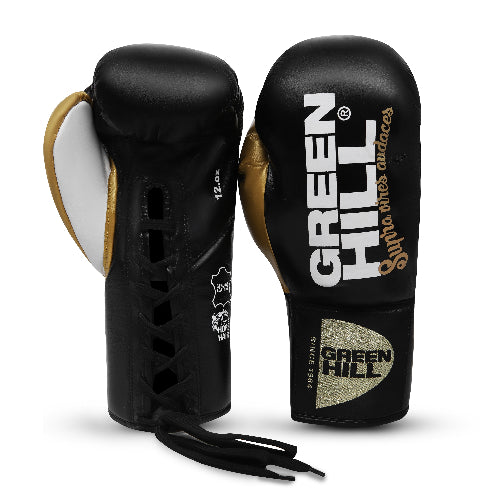 ARES Professional Boxing Gloves
