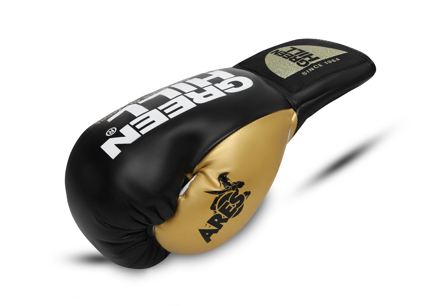 ARES Professional Boxing Gloves