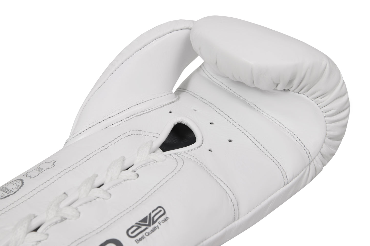 EAGLE EYE Boxing Gloves
