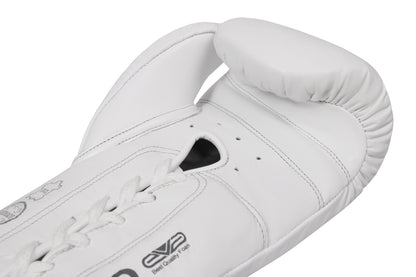 EAGLE EYE Boxing Gloves