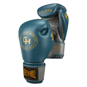 Boxing Gloves RAIDER-Blue/Grey
