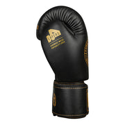 Boxing Gloves THUNDER-Black