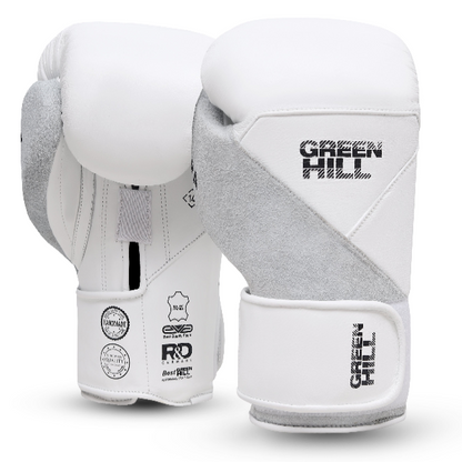 AURORA Boxing Gloves