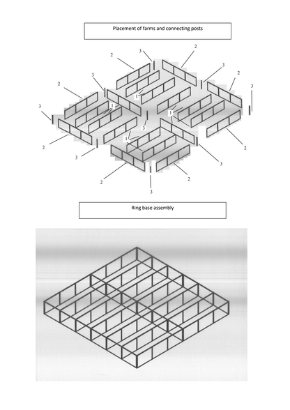 AIBA Approved Boxing Ring
