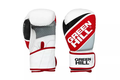 F-120 Professional Boxing Gloves