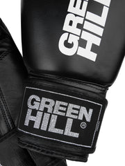 Boxing Gloves GYM
